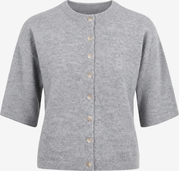 Giacchetta di BRAVE SOUL in grigio: frontale