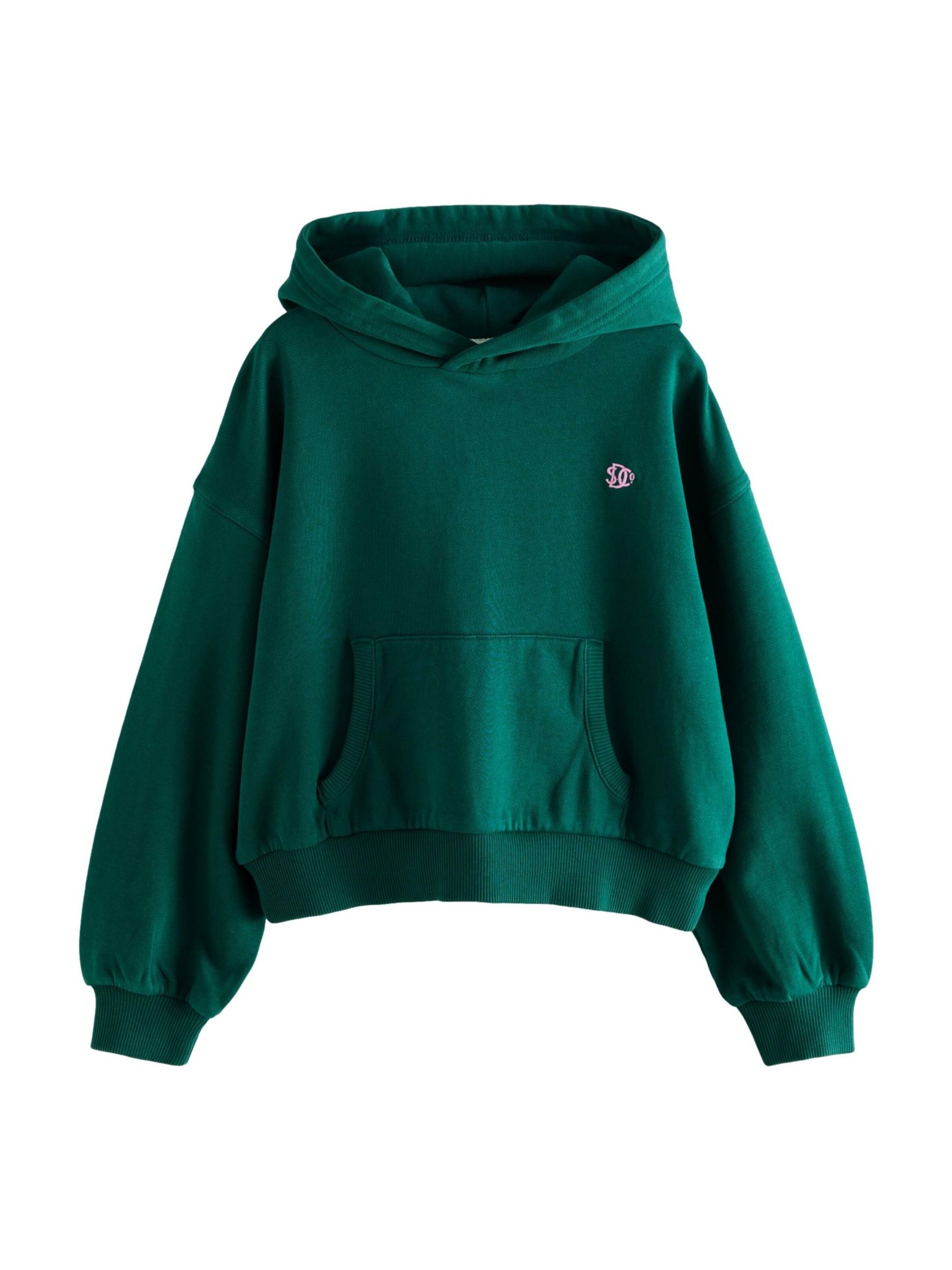 Superdry & Co Sweatshirt in Grün: Vorderseite