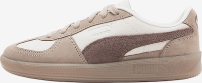 PUMA Matalavartiset tennarit 'Palermo Elevated' värissä beige / kerma / tummabeige, Tuotenäkymä