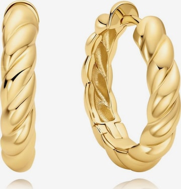 ANIA HAIE Ohrringe in Gold: Vorderseite