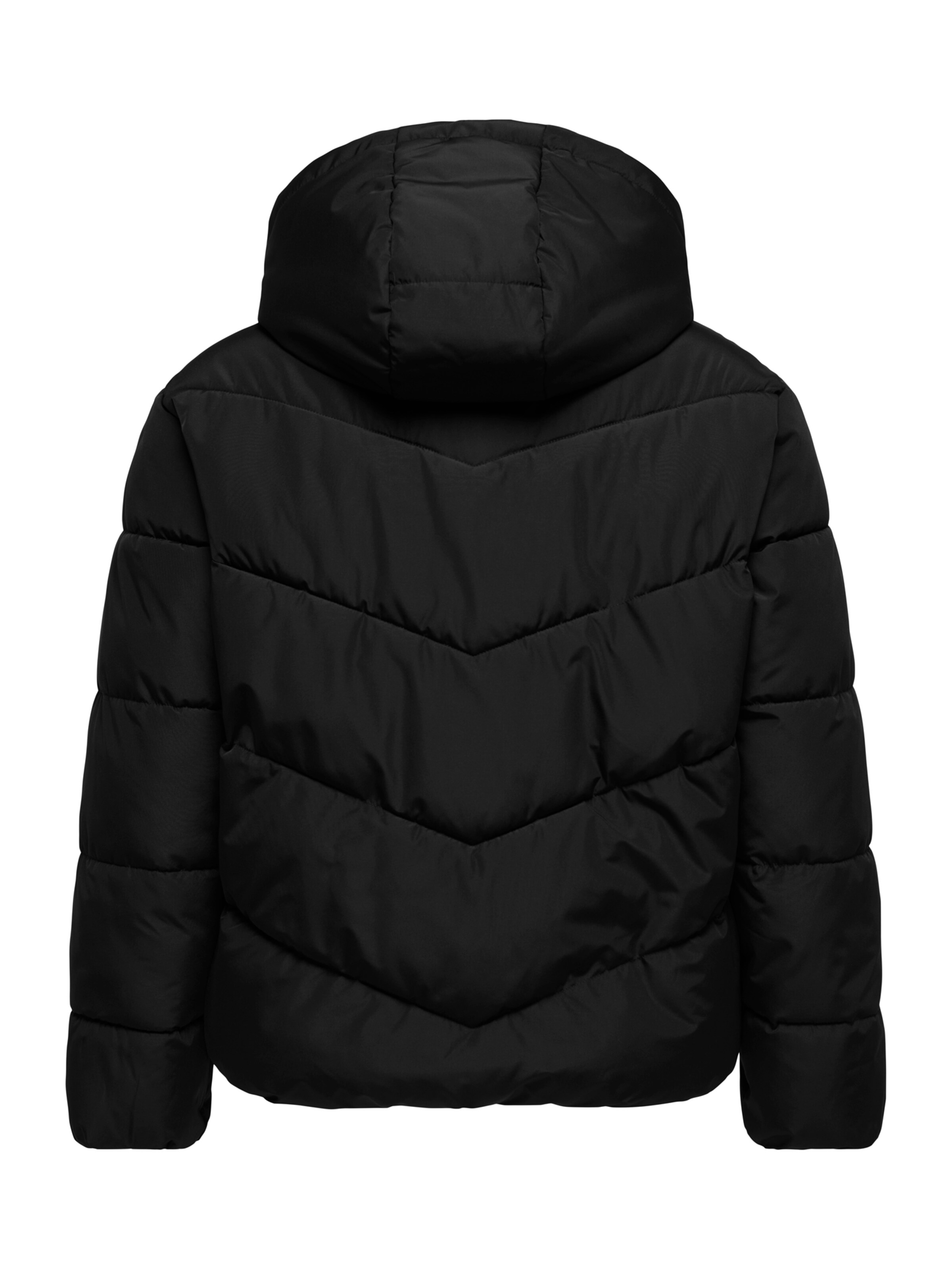 Veste mi-saison 'CARCLAIR' ONLY Carmakoma en noir