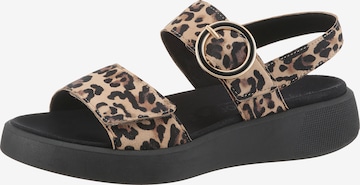 GABOR Sandals in Beige: front