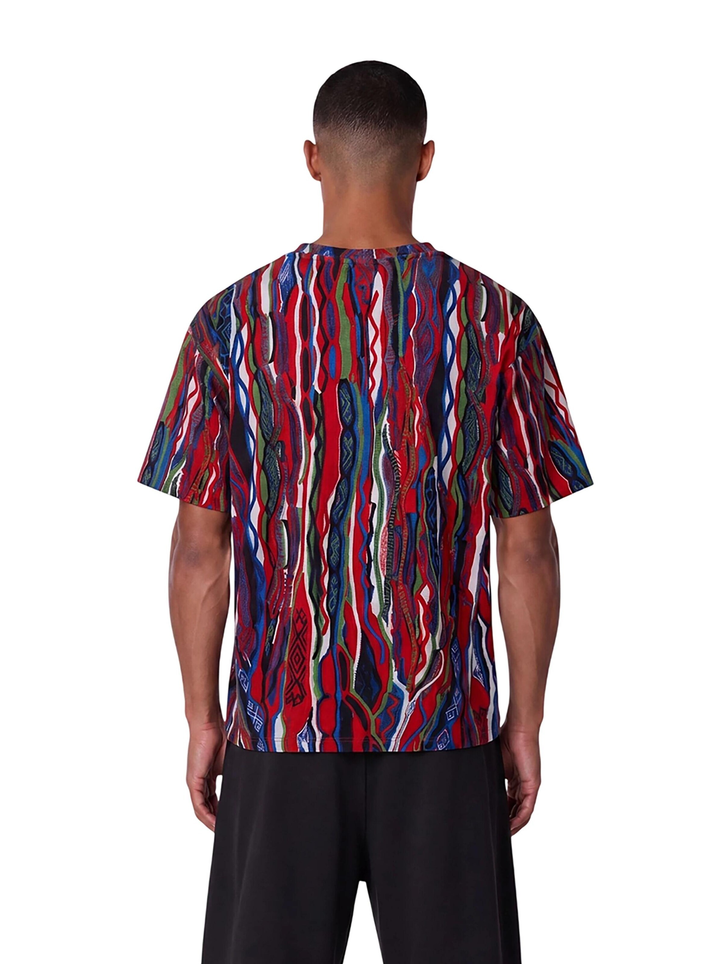 Colucci Shirt 'Signature' in Mixed colours