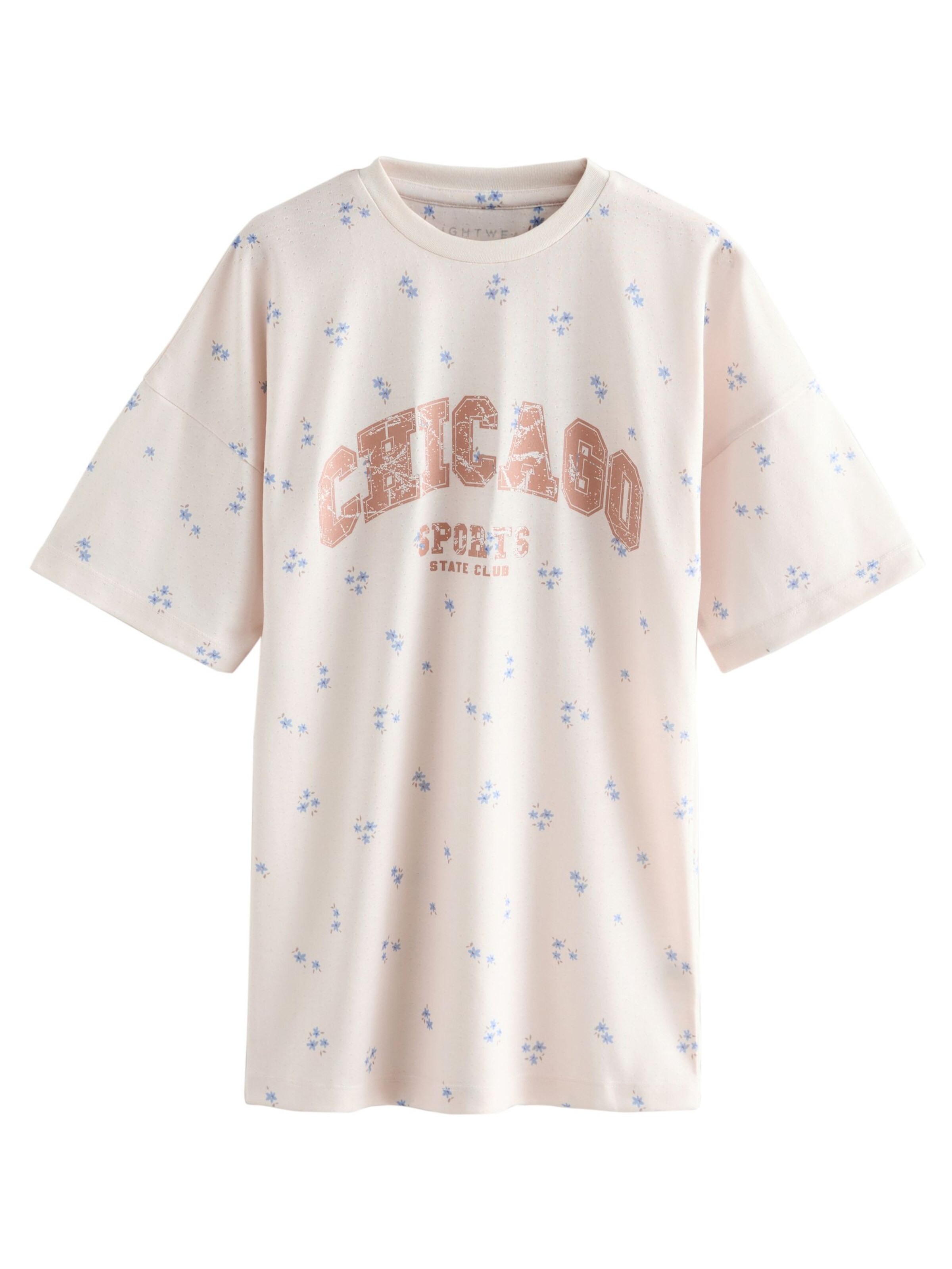 Next Nightgown in Blue