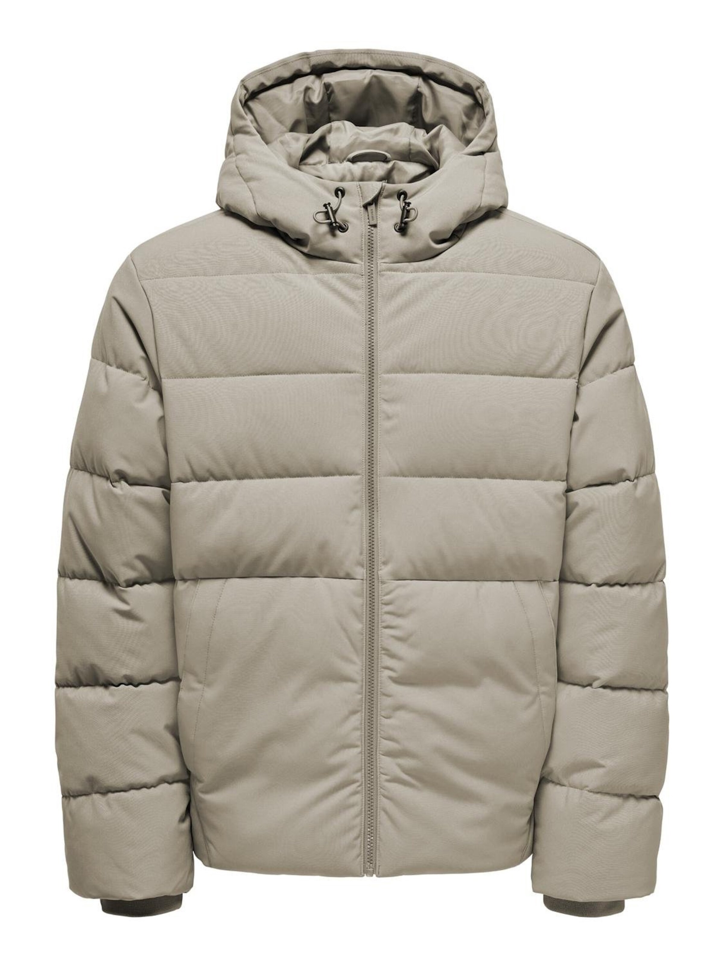 Only & Sons Winter jacket 'Marvin Life' in Grey: front