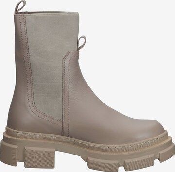 ILC Chelsea Boots in Beige