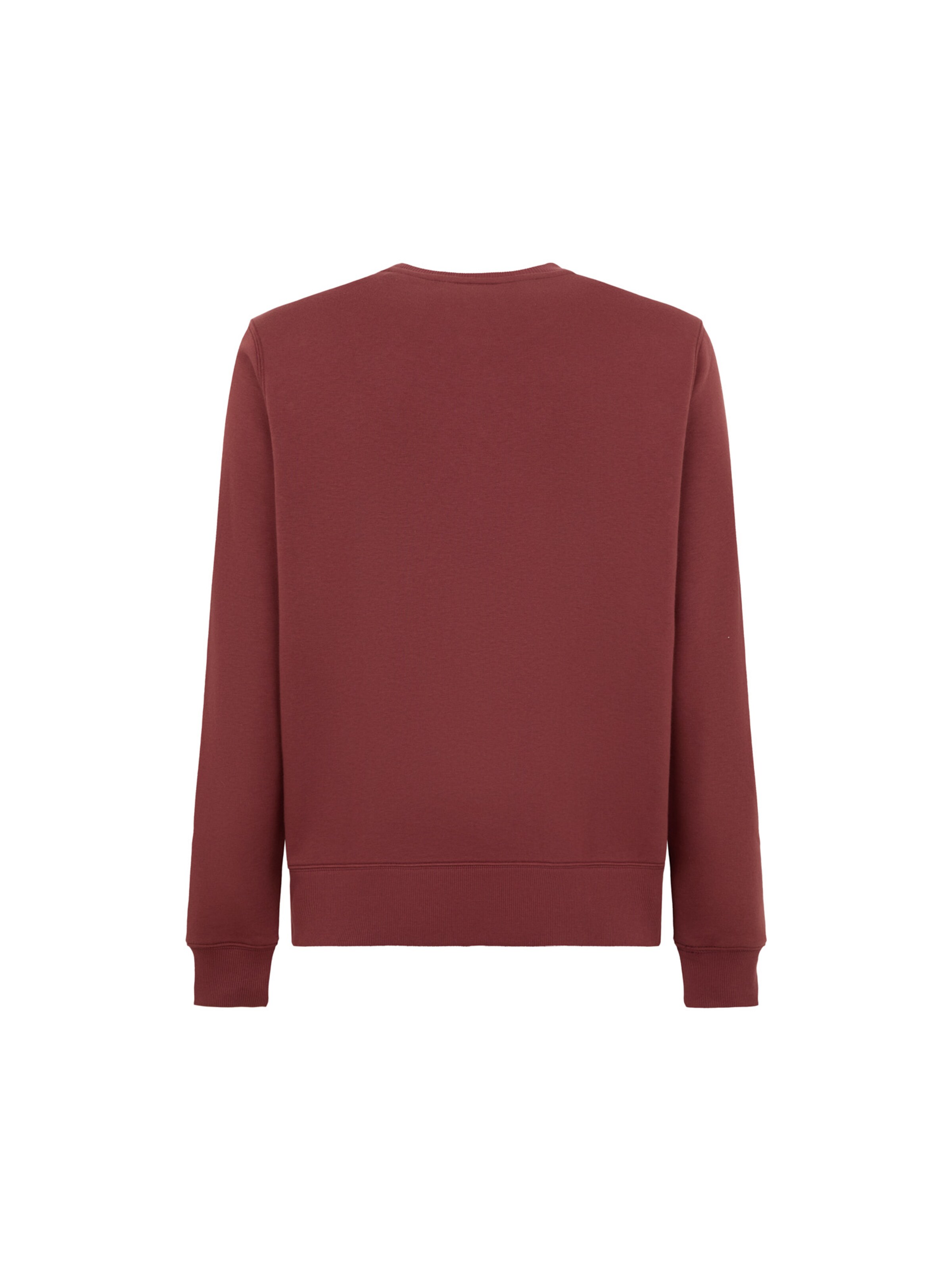 DICKIES Sweatshirt 'Oakport' i röd