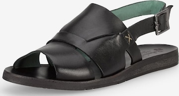 Felmini Wide Fit Sandals in Black: front
