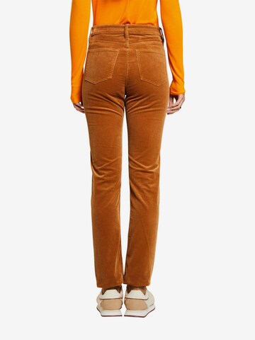 Regular Pantalon ESPRIT en marron