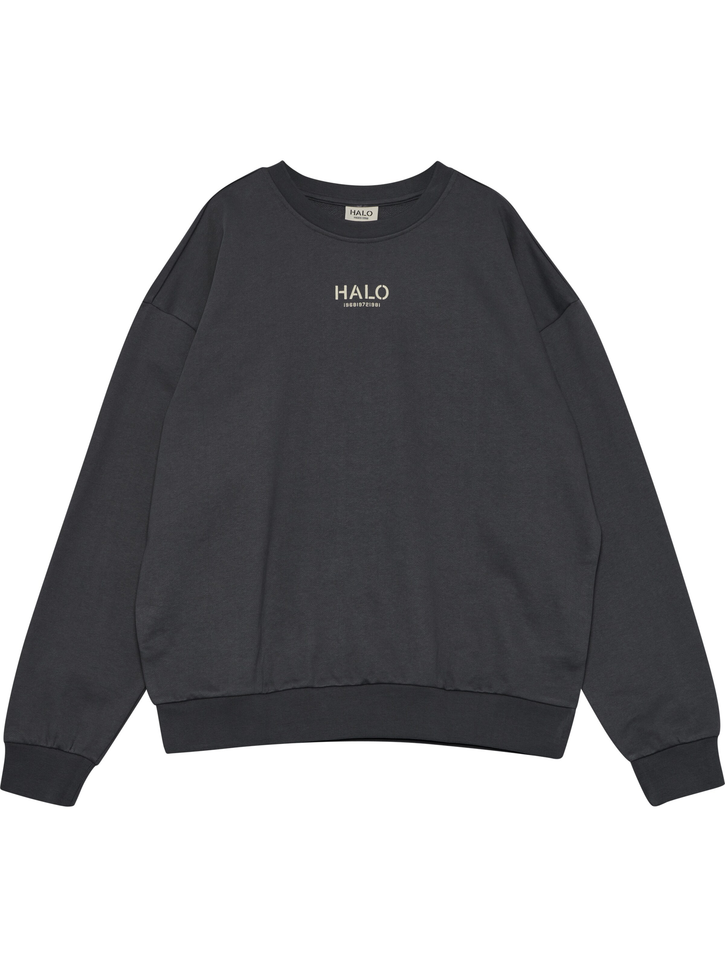 HALO Sweatshirt in Grau: Vorderseite