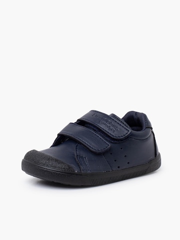 Pisamonas Sneakers in Blauw: voorkant