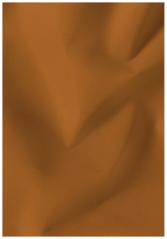 JACK WOLFSKIN Outdoor jacket in Brown