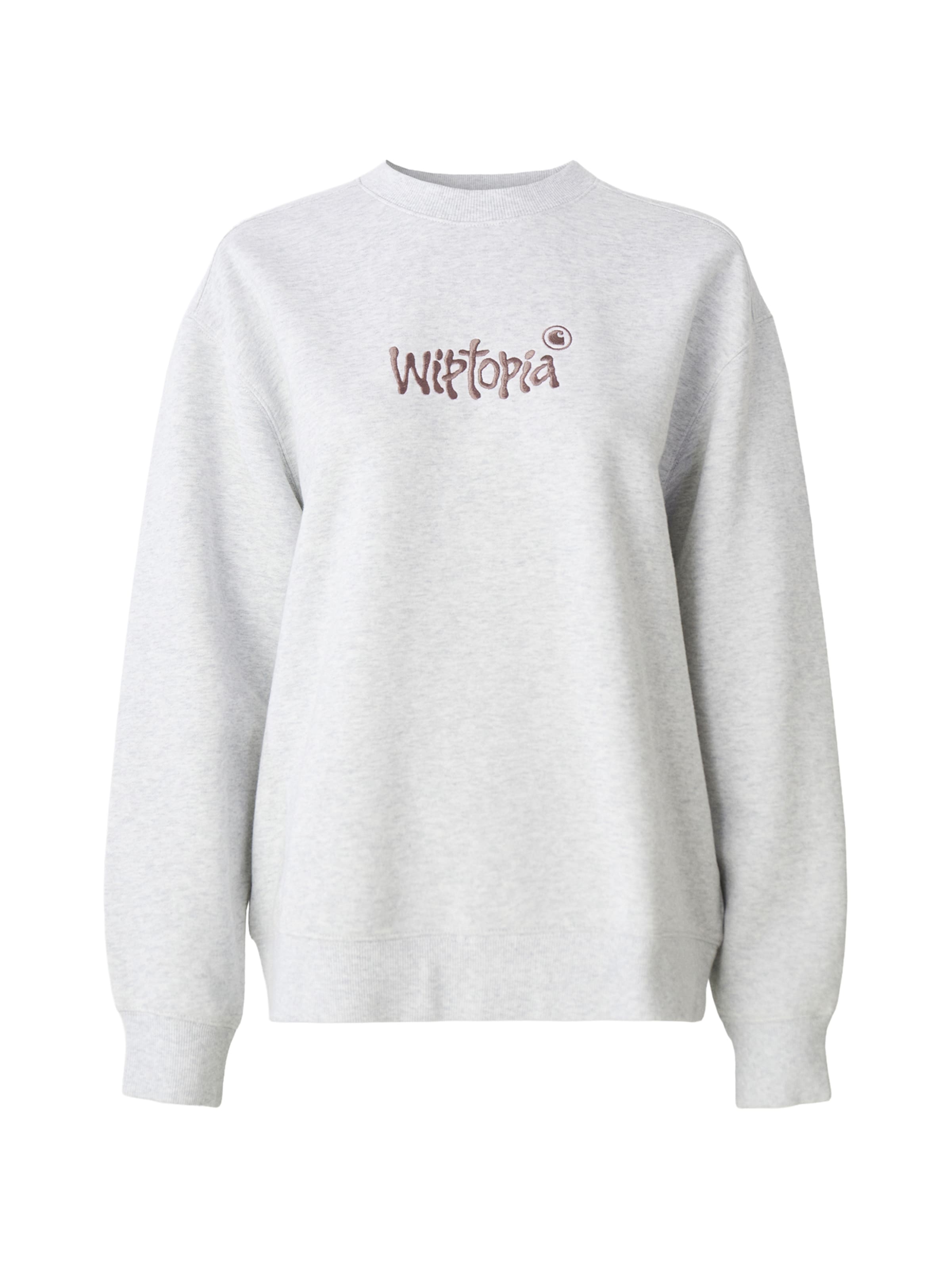Carhartt WIP Sweatshirt &#x27;Wiptopia&#x27; in Grijs: voorkant