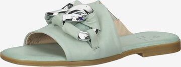 ILC Mules in Green: front
