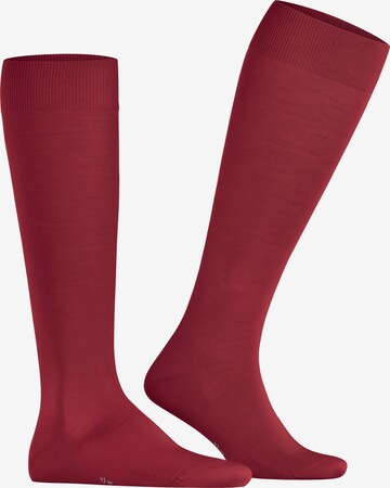 FALKE Knee High Socks 'ClimaWool' in Red: front