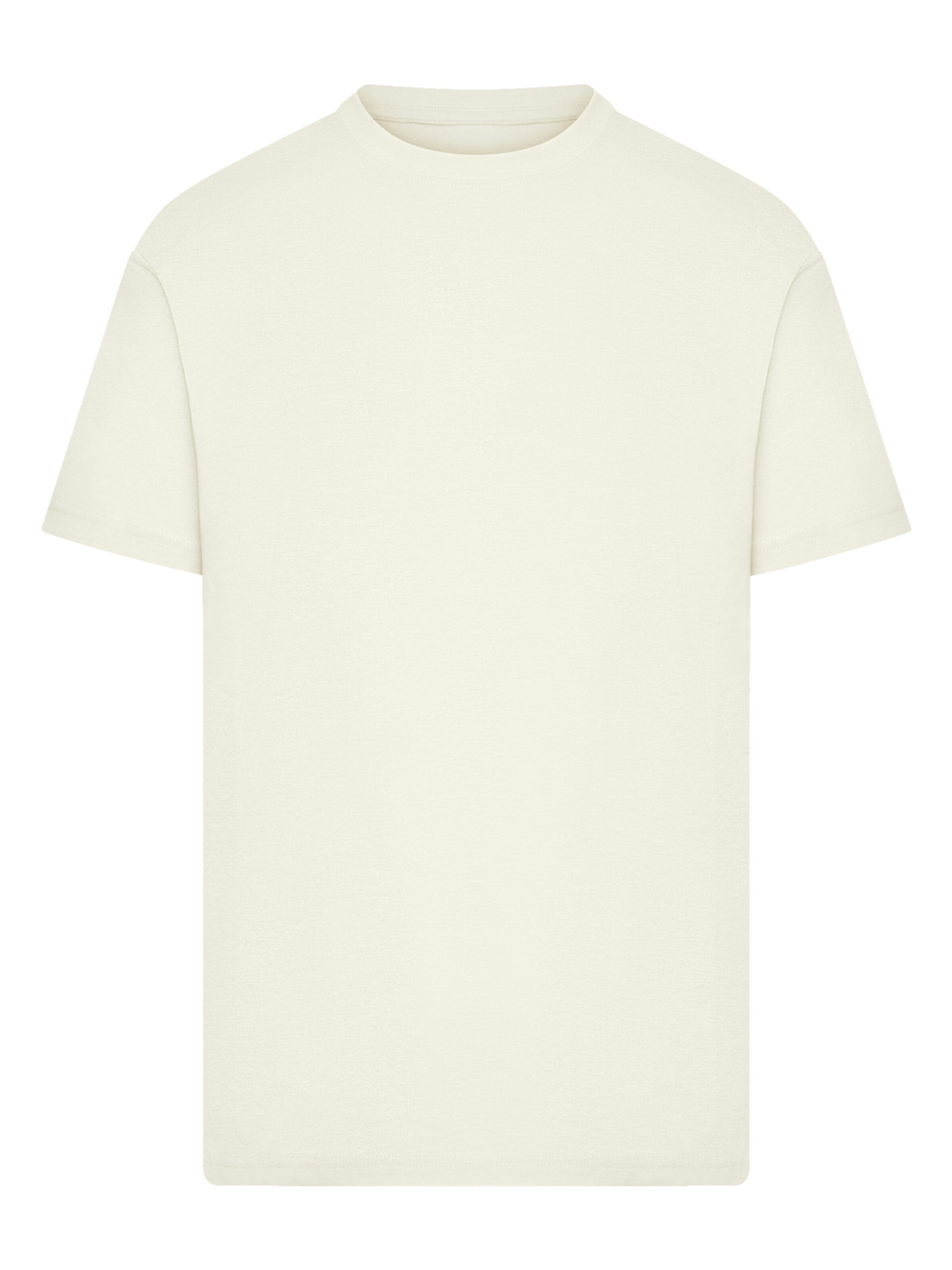 F4NT4STIC Shirt 'Escape Discover the World Pinetree' in Beige: front