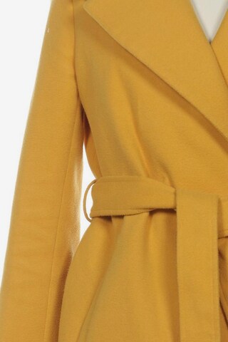 Orsay Jacket & Coat in S in Yellow