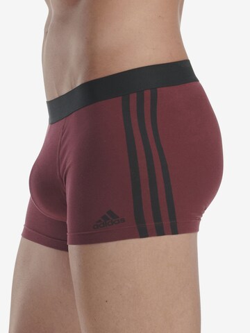 ADIDAS SPORTSWEAR Sports underpants ' BASIC ' in Mixed colours