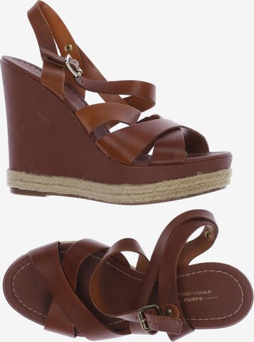 sacha Sandals & High-Heeled Sandals in 37 in Brown: front