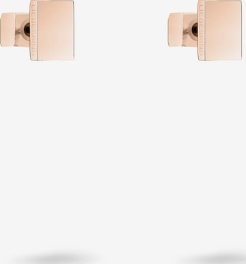 Liebeskind Berlin Earrings in Gold: front