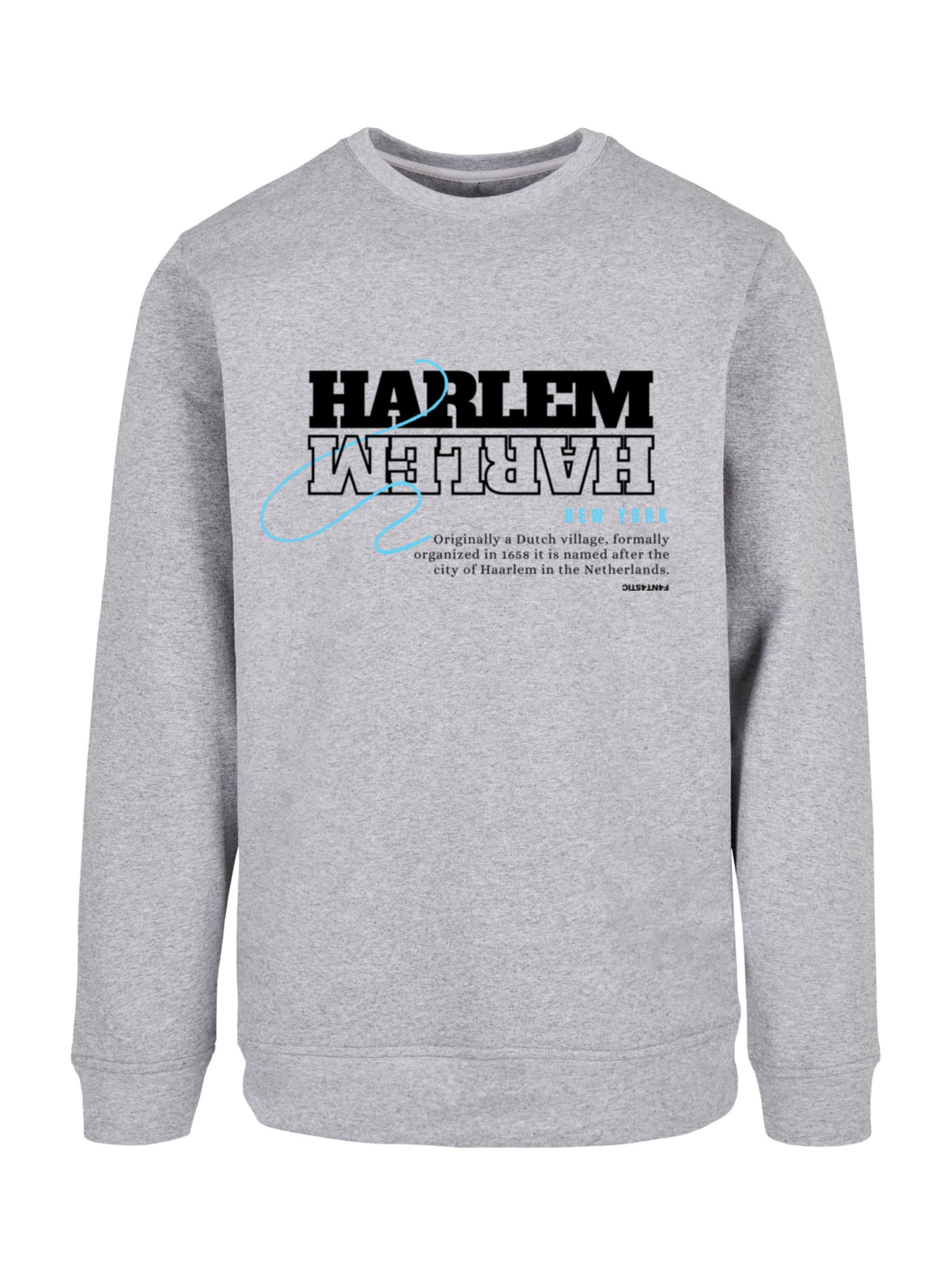 F4NT4STIC Sweatshirt 'Harlem' in Grijs: voorkant