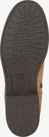 GEOX Ankle Boots in Brown