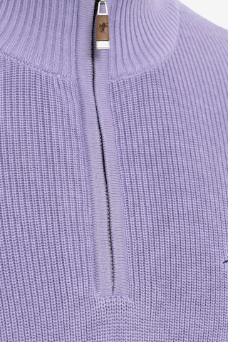 DENIM CULTURE Sweater 'EMILE' in Purple