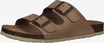 COSMOS COMFORT Mules in Beige: front