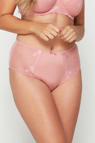 LingaDore Panty 'Daily' in Pink: front