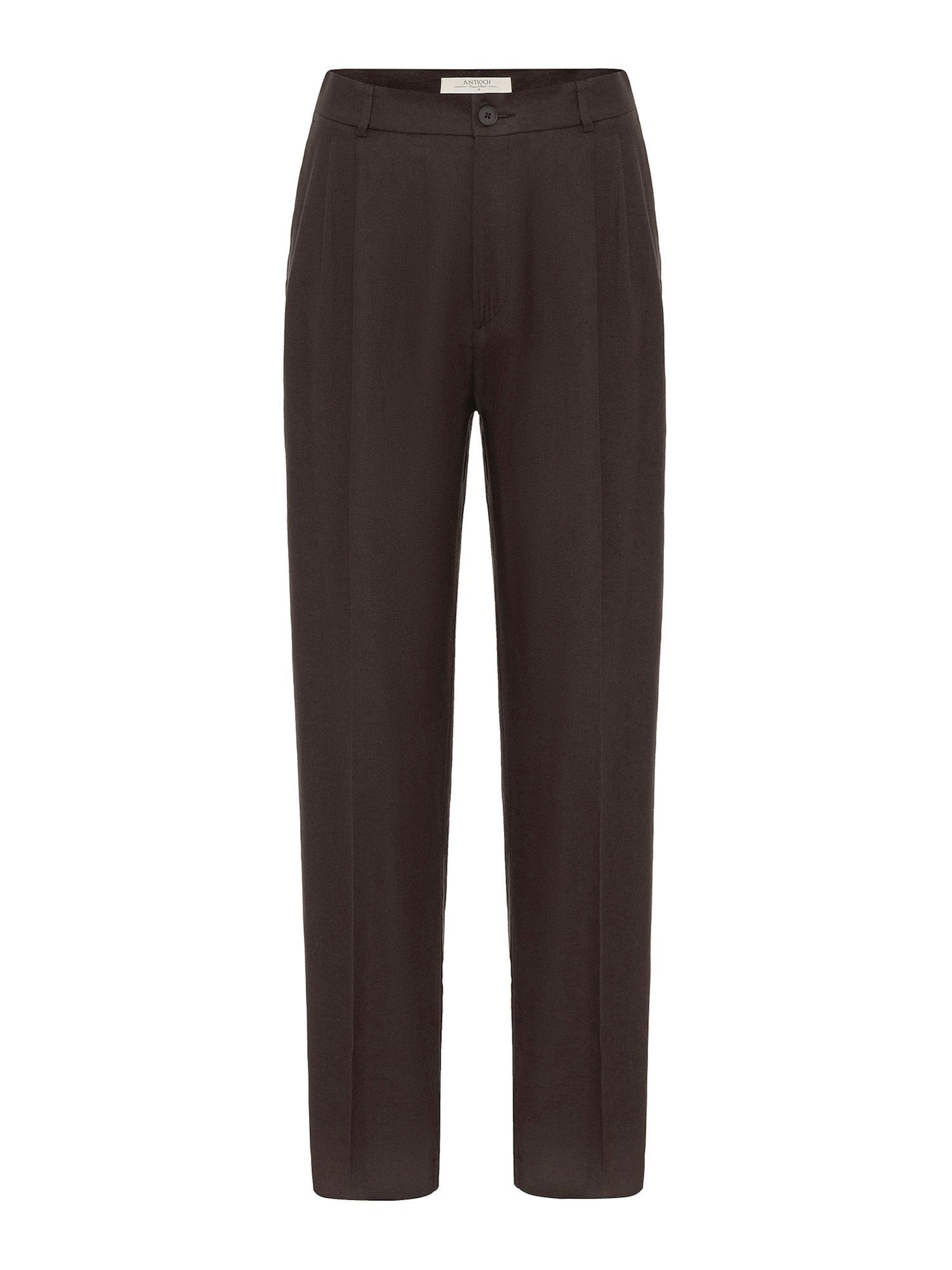 Antioch Regular Hose in Braun: Vorderseite