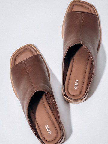 Estro Muiltjes '224819' in Bruin