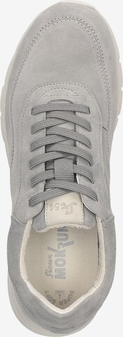 SIOUX Sneakers in Grey