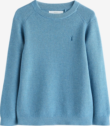 mėlyna Next Megztinis: priekis