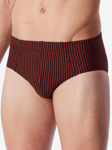 SCHIESSER Slip ' 95/5 Essentials ' in Grijs: voorkant