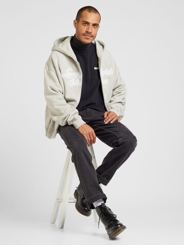 Low Lights Studios Zip-Up Hoodie 'SHUTTER' in Grey