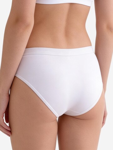 SPEIDEL Slip 'Everyday'‌ in Mischfarben