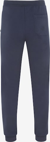 Effilé Pantalon HAJO en bleu