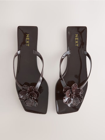 Next Japonke | rjava barva