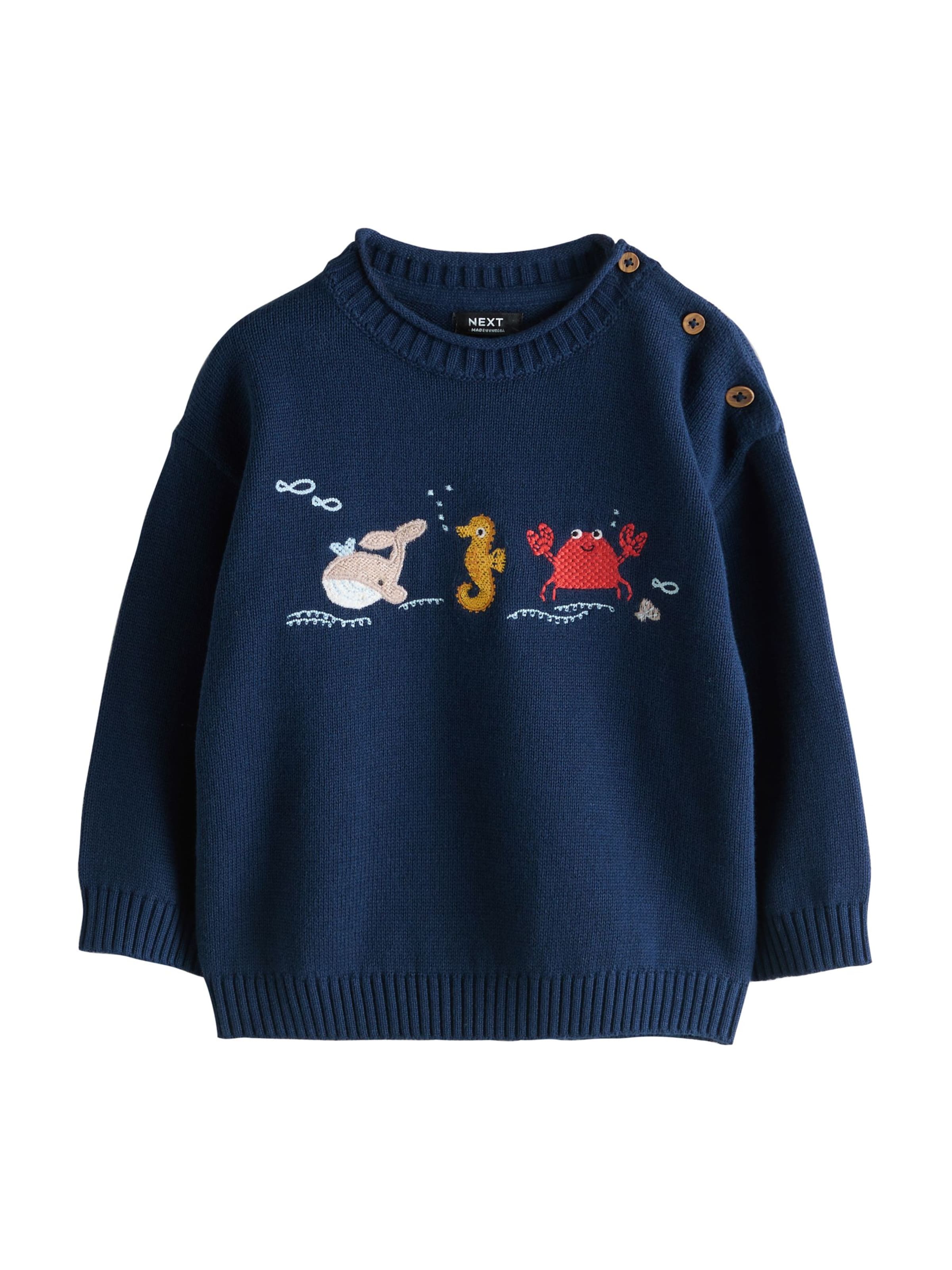 Next Свитер 'Character' в Синий: спереди