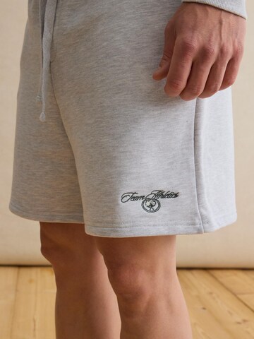 DAN FOX APPAREL Свободный крой Штаны 'Carl' в Серый