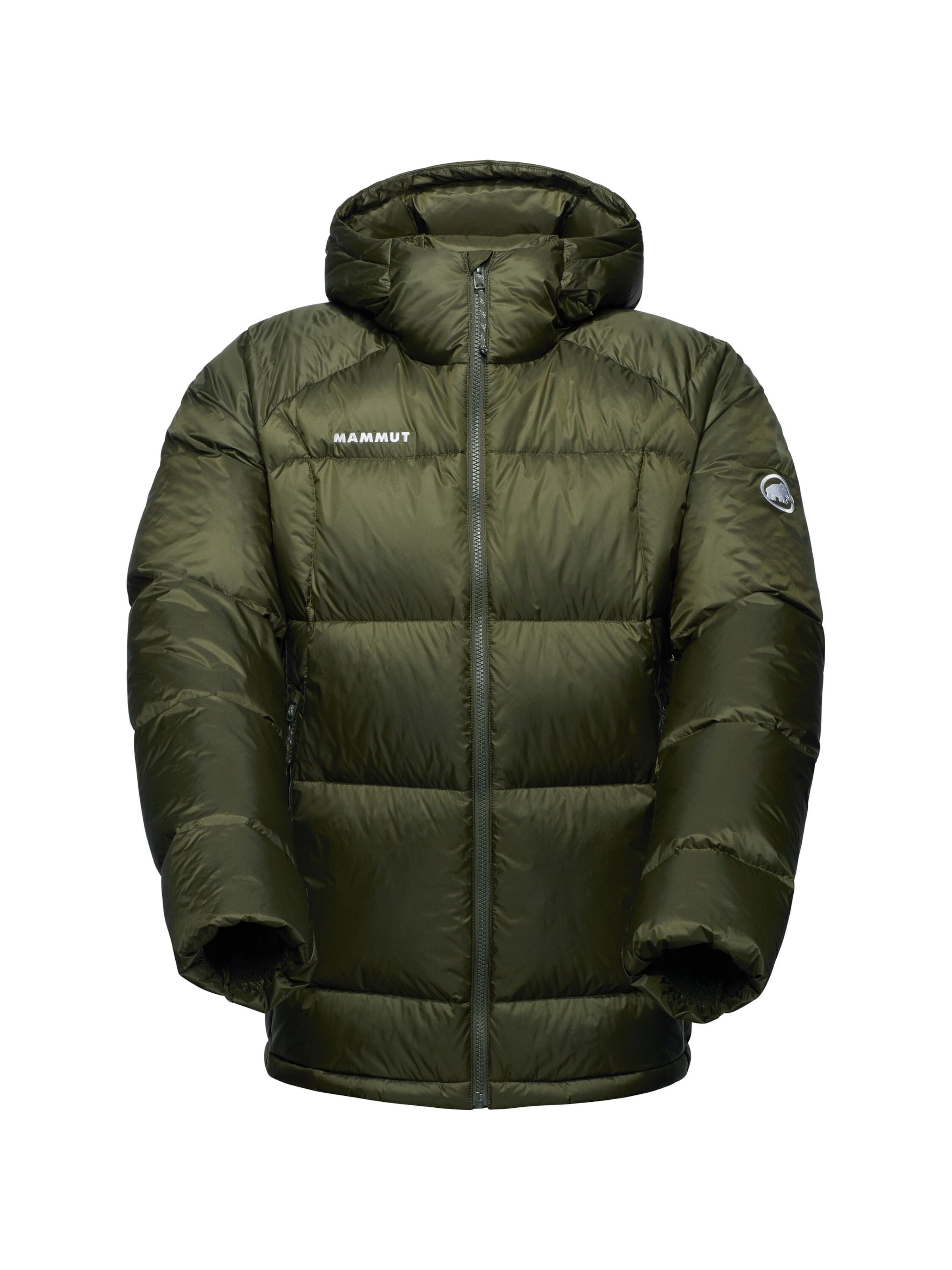 MAMMUT Outdoorjacke ‘Glacier Glow In’ in Grün: Vorderseite