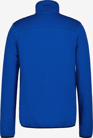 ICEPEAK Funktionele fleece-jas 'Berthold' in Blauw