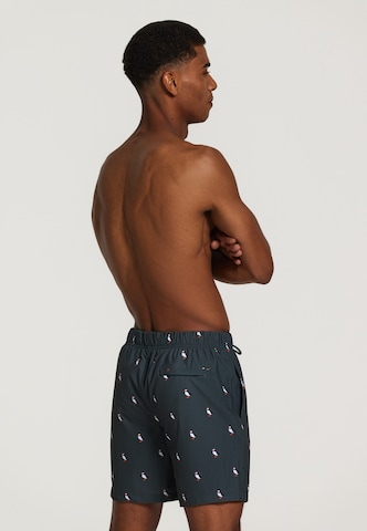 Shiwi Zwemshorts 'puffin 4-way stretch' in Groen