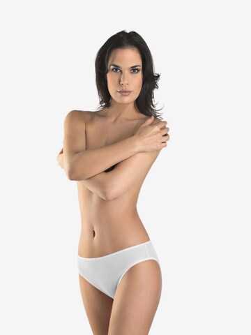 Hanro Panty ' Cotton Seamless ' in White: front