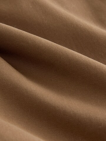 Next Обычный Брюки-чинос в Коричневый