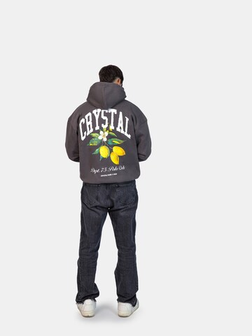 Crystal Paris Sweatshirt 'Polo Club' in Grey