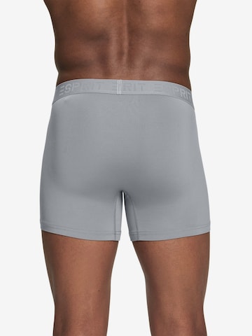 ESPRIT Boxershorts in Grau