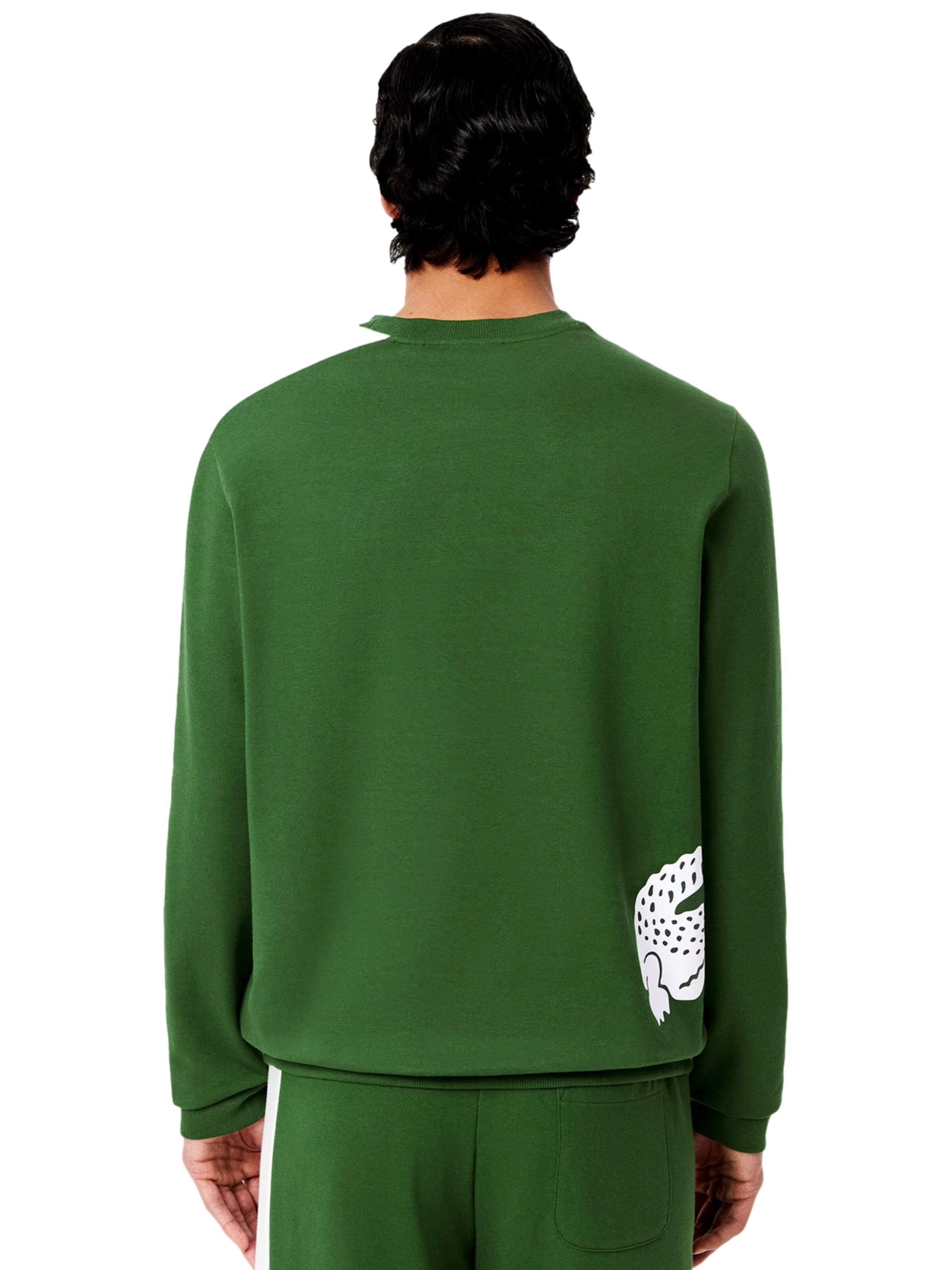 LACOSTE Sweatshirt in Groen