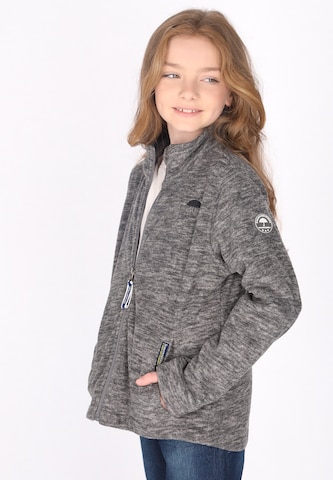 Schmuddelwedda - Chaqueta polar en gris