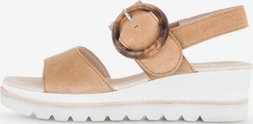 GABOR Sandals in Beige